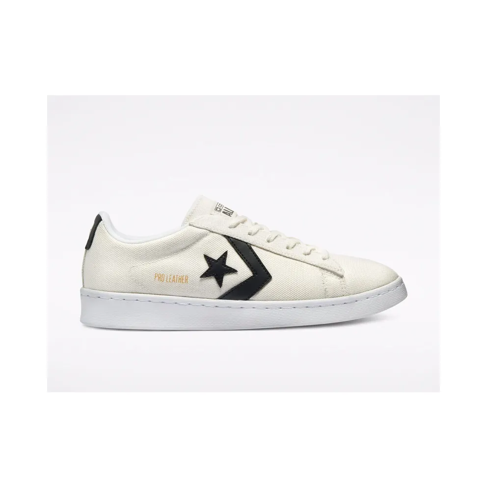 Converse Court Daze Pro Leather Low Top White White (170752C)