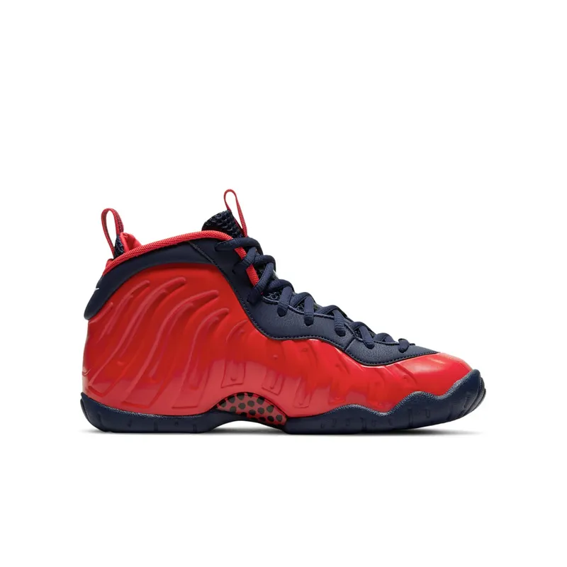 Nike Little Posite Pro (GS) “USA” (CZ2520-600)