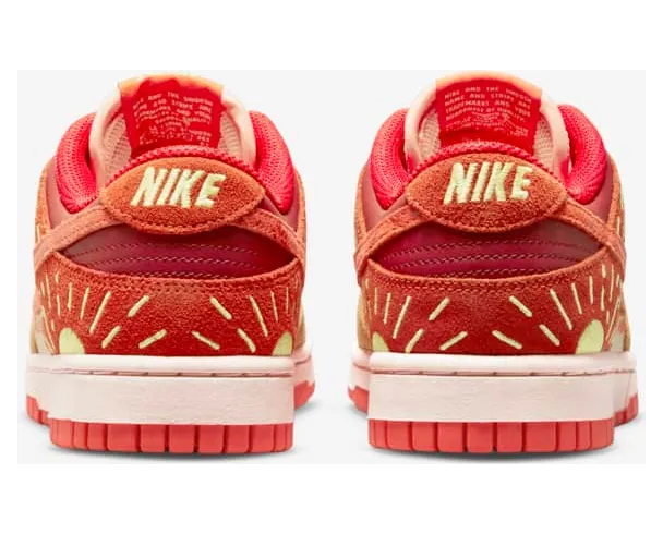 nike-dunk DO6723-800