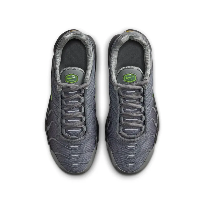 Nike Air Max Plus Grey (IF6169-084)
