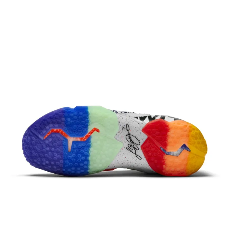 Nike LeBron XI 11 Premium ‘What The LeBron’ (2014) (650884-400)