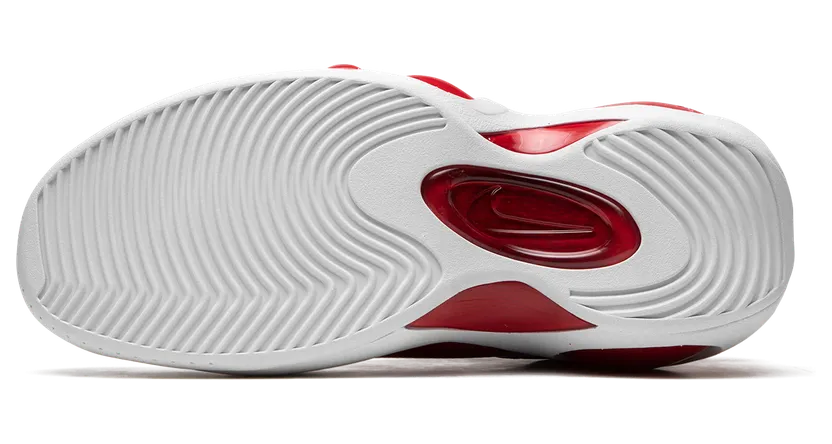 nike-zoom DX1165-100