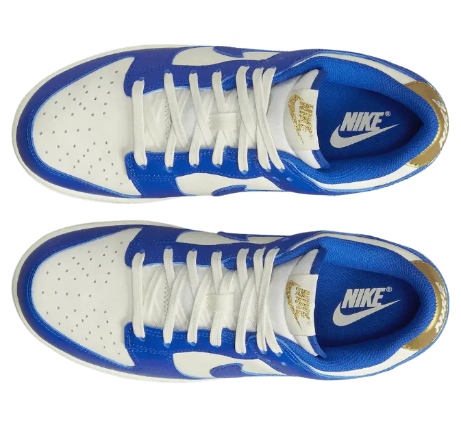nike-dunk FB7173-141