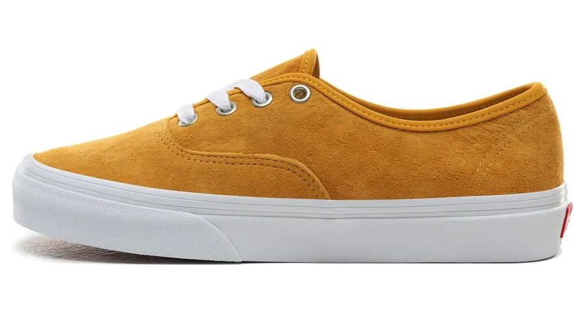 vans-authentic VN0A2Z5IV77