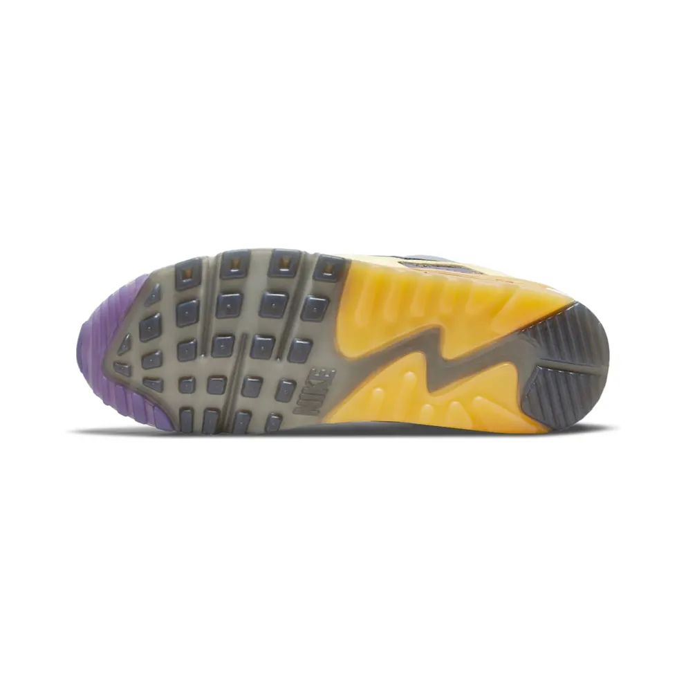 Nike Air Max 90 Purple (DC6083-500)