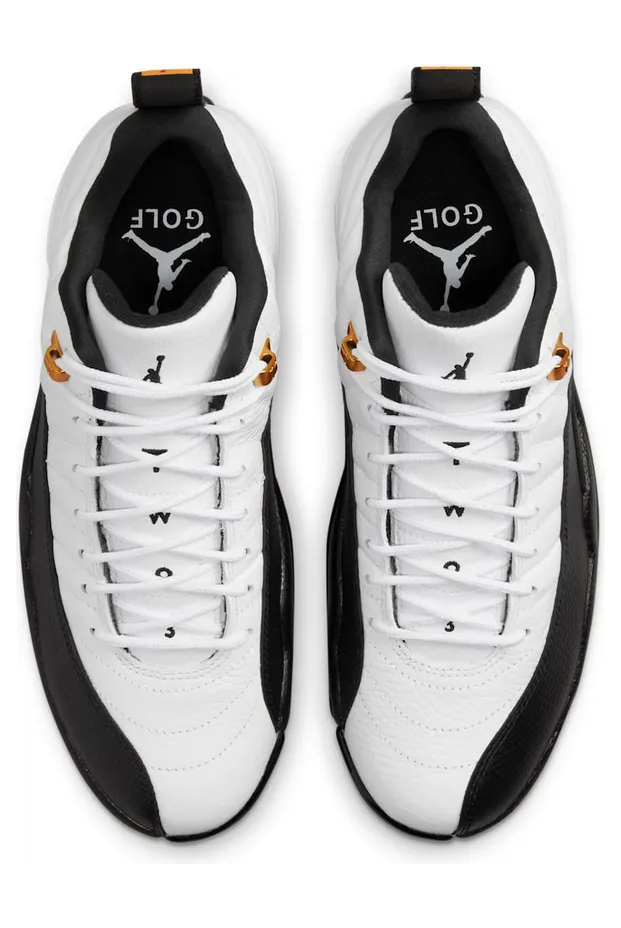 air-jordan-12 DH4120-100