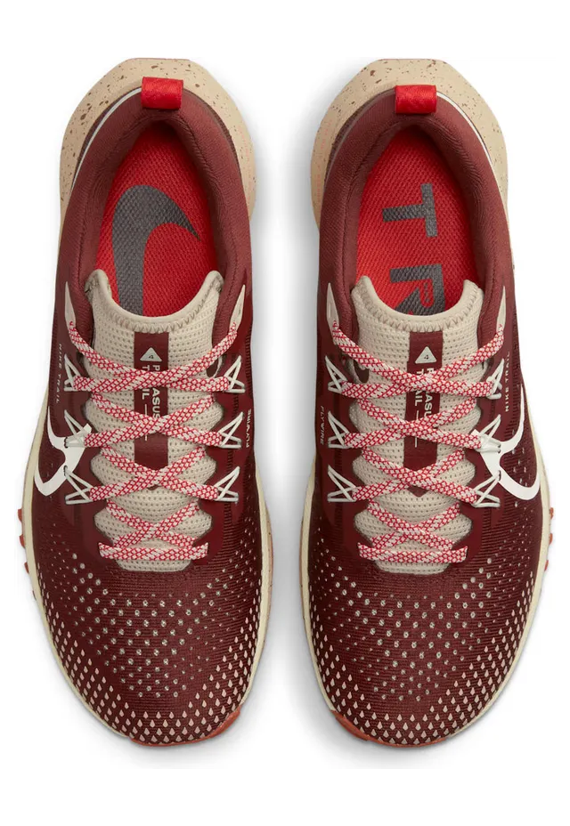 nike-air-pegasus DJ6159-200