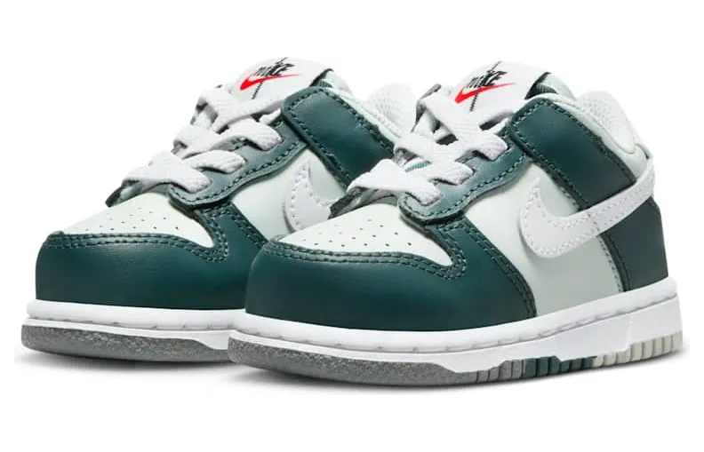 nike-dunk FB9107-300