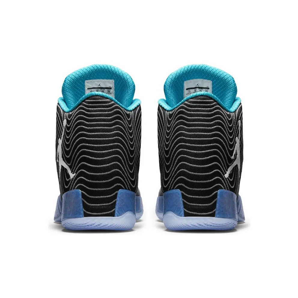 Air Jordan Nike AJ XX9 Playoff Pack Away (749143-014)