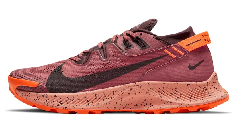 nike-air-pegasus CK4305-601