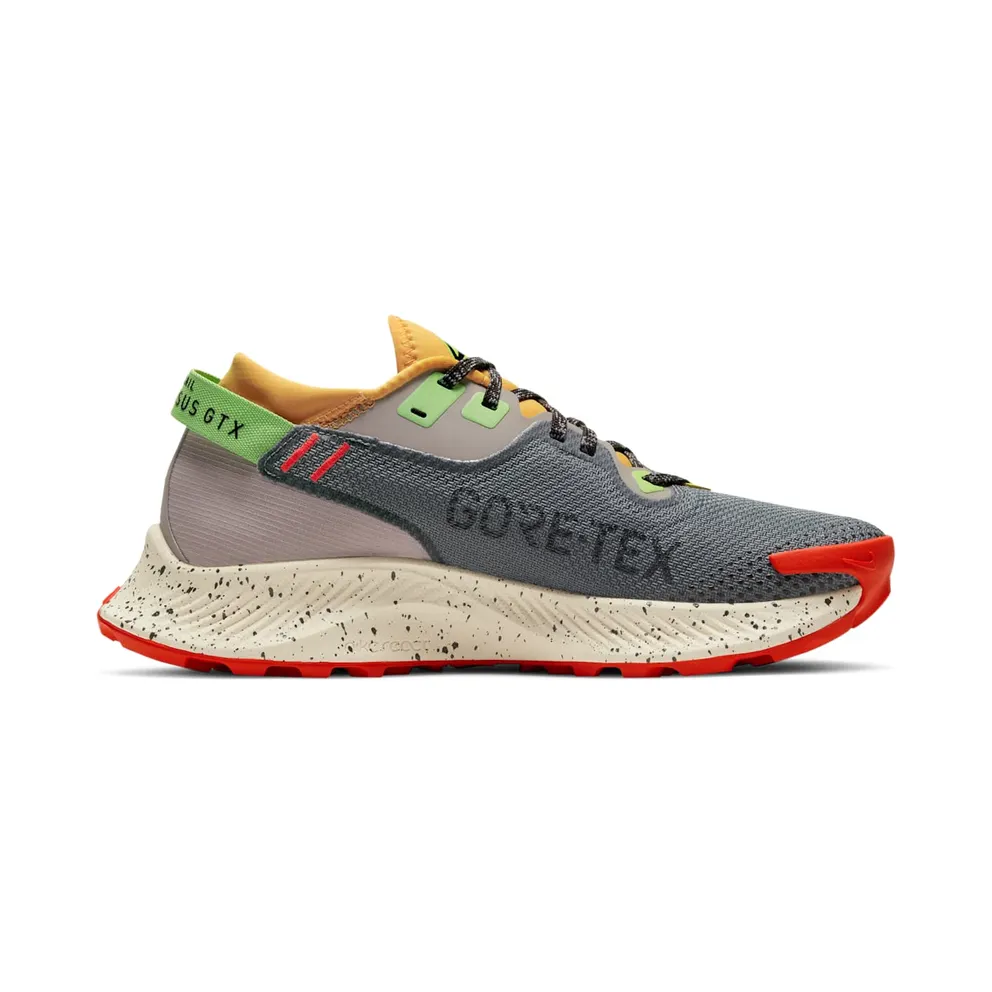 Nike Pegasus Trail 2 GORE-TEX Trail Running Black (CU2018-002)