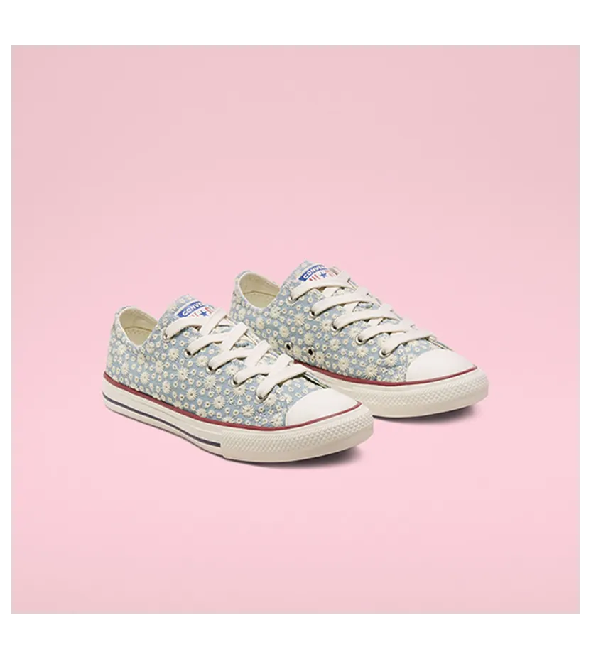 converse-chuck-taylor-all-star 668034C