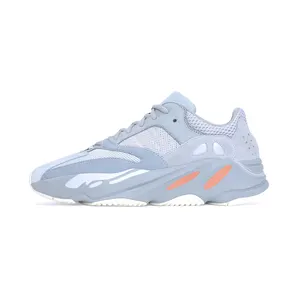Adidas Yeezy Boost 700 Inertia (EG7597)