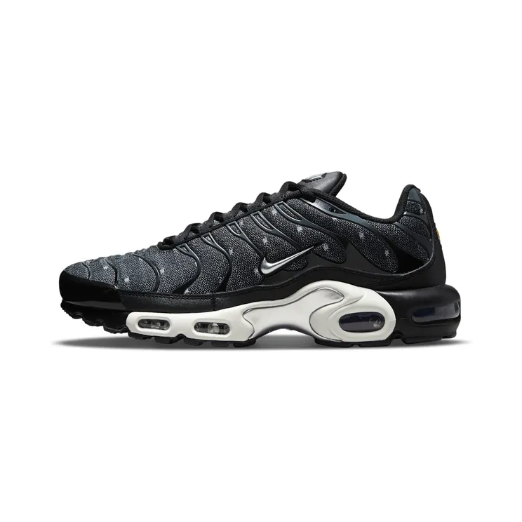 Nike Air Max Plus SE Black Chrome (DM7570-001)