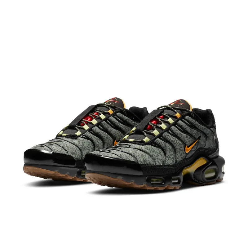 Nike Air Max Plus Fresh Perspective (DC7392-300)