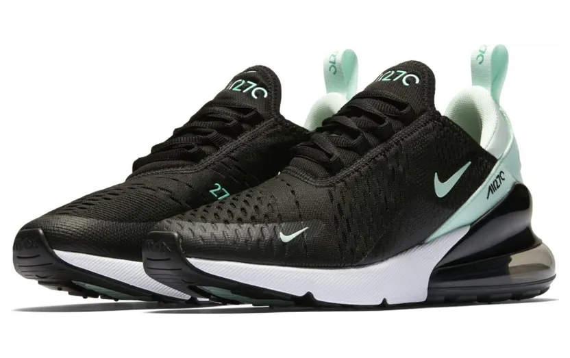 Nike Air Max 270 Igloo (W) (AH6789-008)