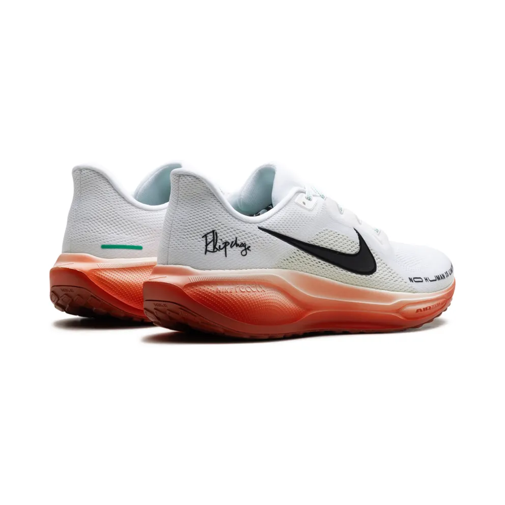 Nike Air Zoom Pegasus 41 “Eliud Kipchoge” (HJ7037-100)