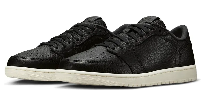 air-jordan-1 848775-005