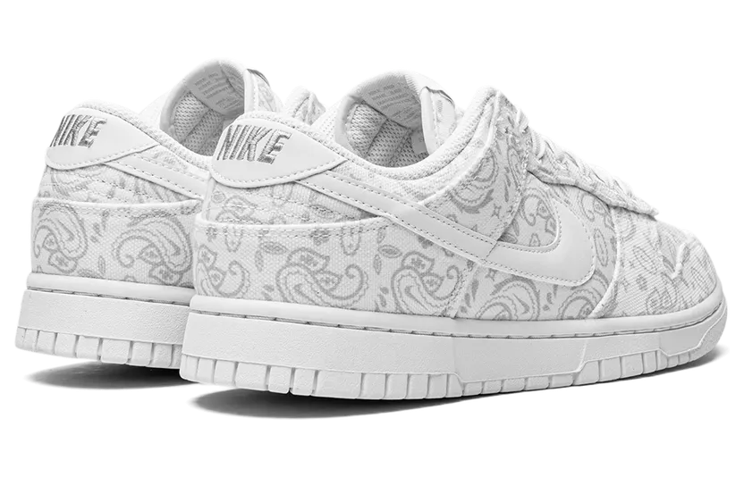 nike-dunk DJ9955-100