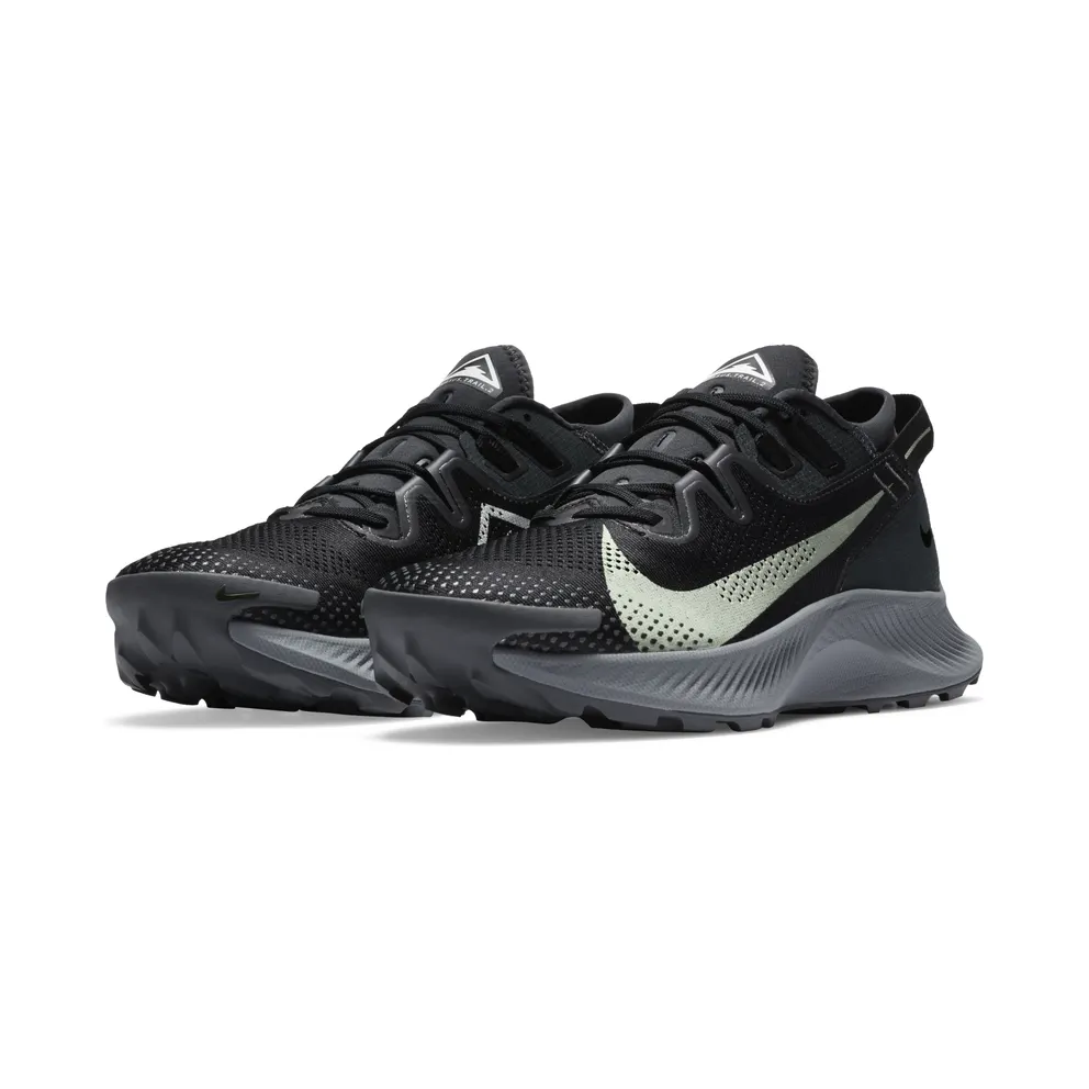 Nike Pegasus Trail 2 Black Dark Smoke Grey Black/Spruce Aura-Dark Smoke Grey (CK4305-002)
