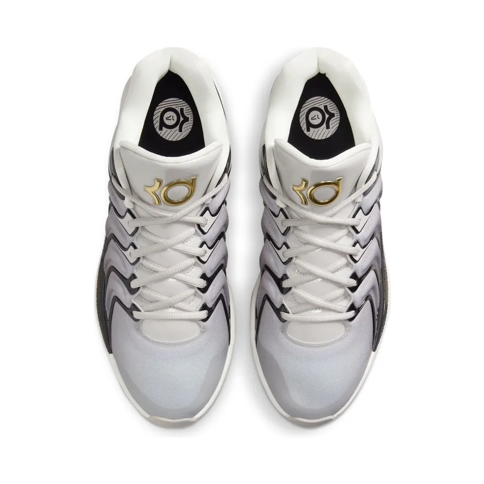Nike KD 17 “Light Iron Ore / Metallic Gold” (FJ9487-003)