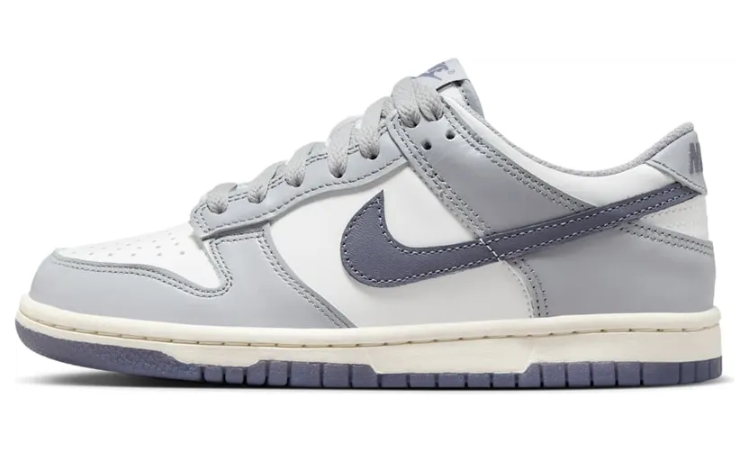 Nike Dunk Low FB9109-101