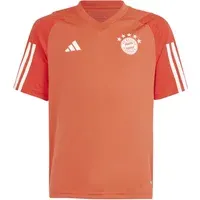 Nike Ausgefranste V5 RNR – Grey (IQ0613)