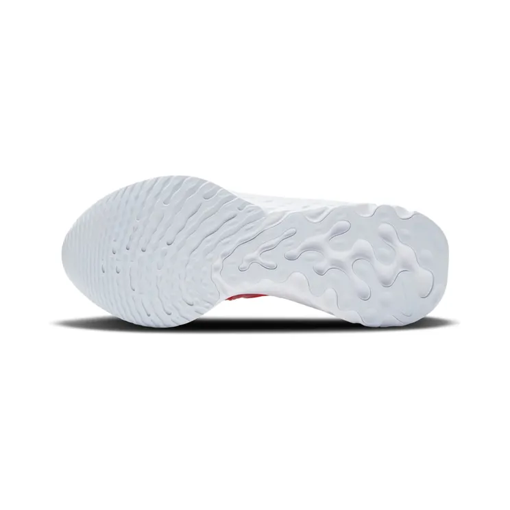 nike-infinity-run CT2423-004