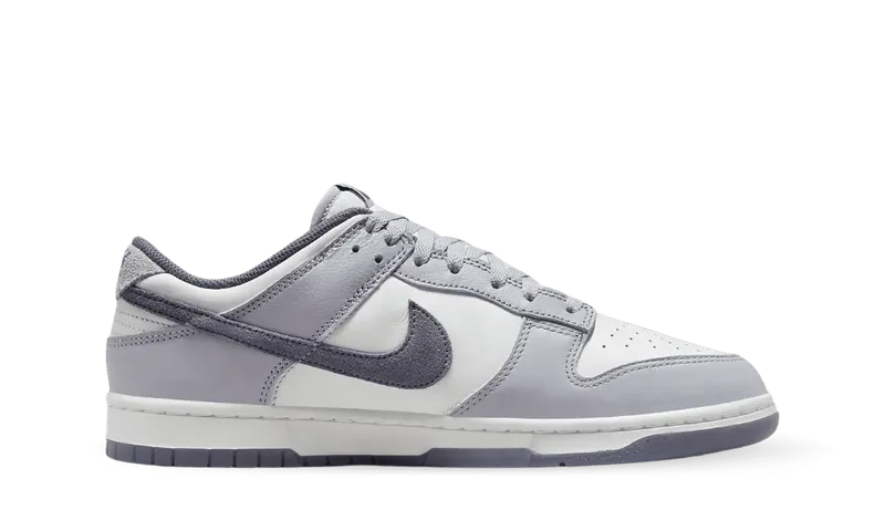 Nike Dunk Low SE Light Carbon Grey (FJ4188-100)