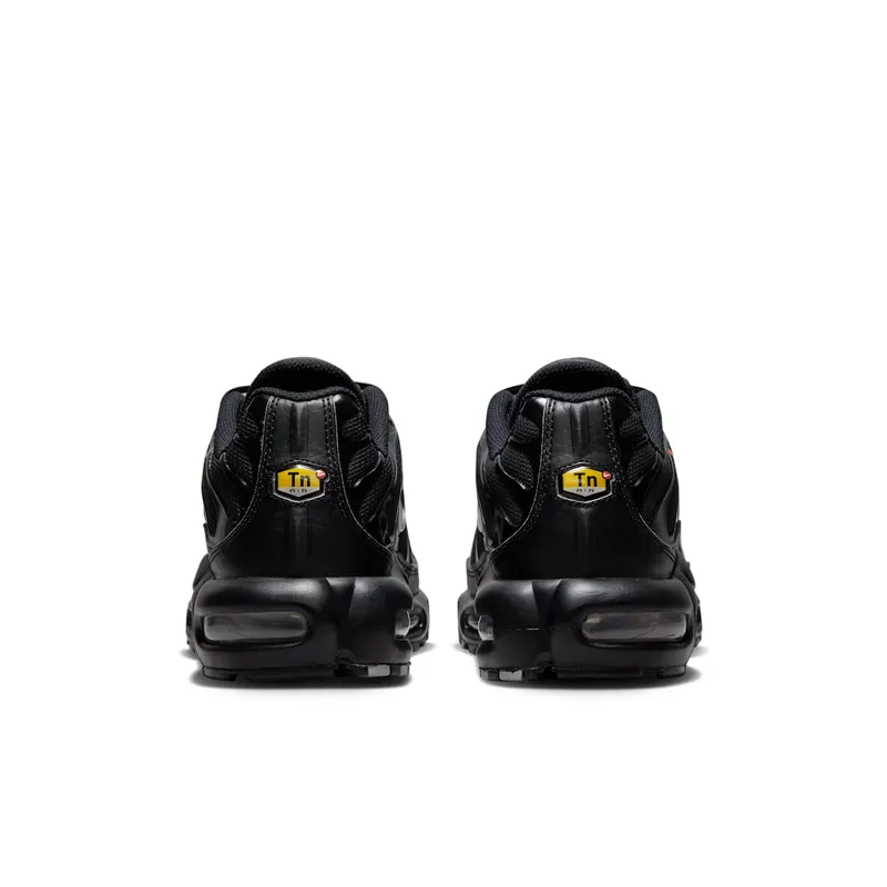 Nike Air Max Plus Multi Swoosh Black Crimson (FJ4224-001)