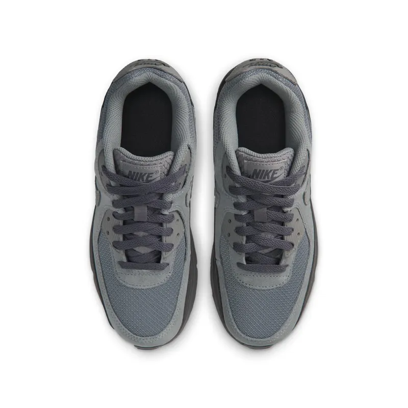 Nike Air Max 90 Smoke Grey/Dark Smoke Grey/Blue Crystal/Iron Grey (IR5583-001)