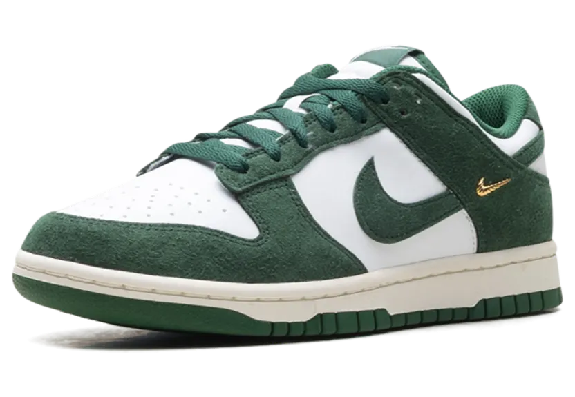nike-dunk IB4417-100
