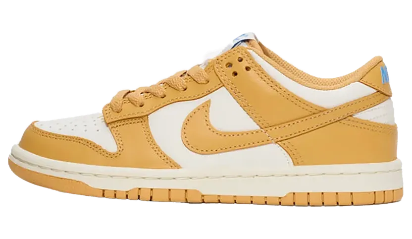 Nike Dunk Low GS “Honeycomb” (FB9109-700)