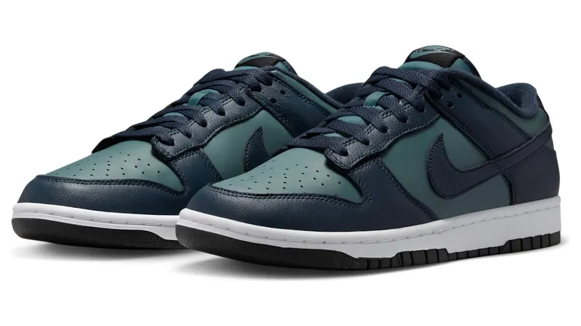 nike-dunk DR9705-300