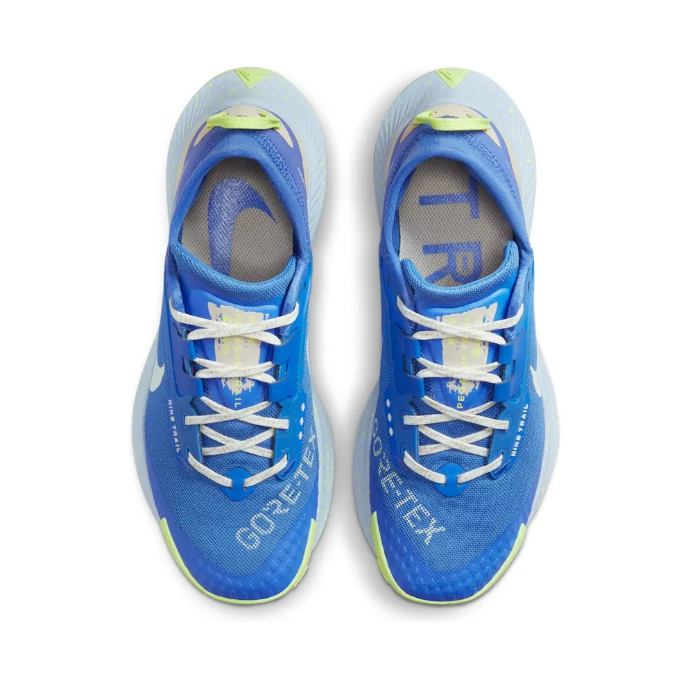 Nike Pegasus Trail 3 GORE-TEX Waterdichte Trail Running Shoes for Women Blue (DC8794-400)