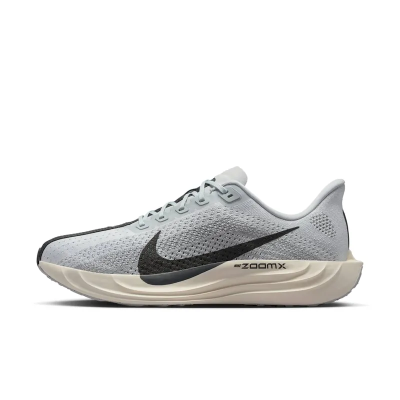 Nike Pegasus Pure Platinum/Wolf Grey/Sail/Anthracite (FQ7262-017)