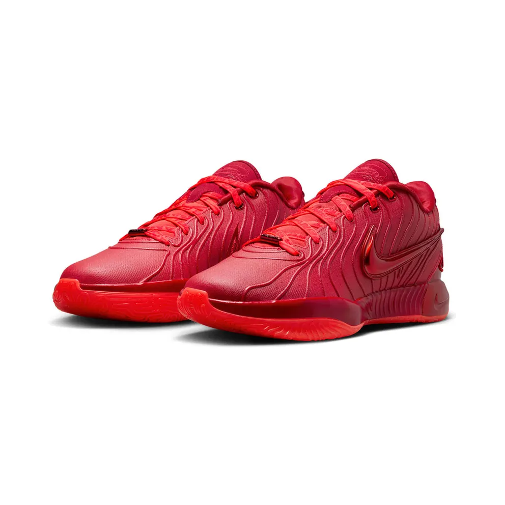 Nike LeBron 21 “James Gang” (HF5951-600)