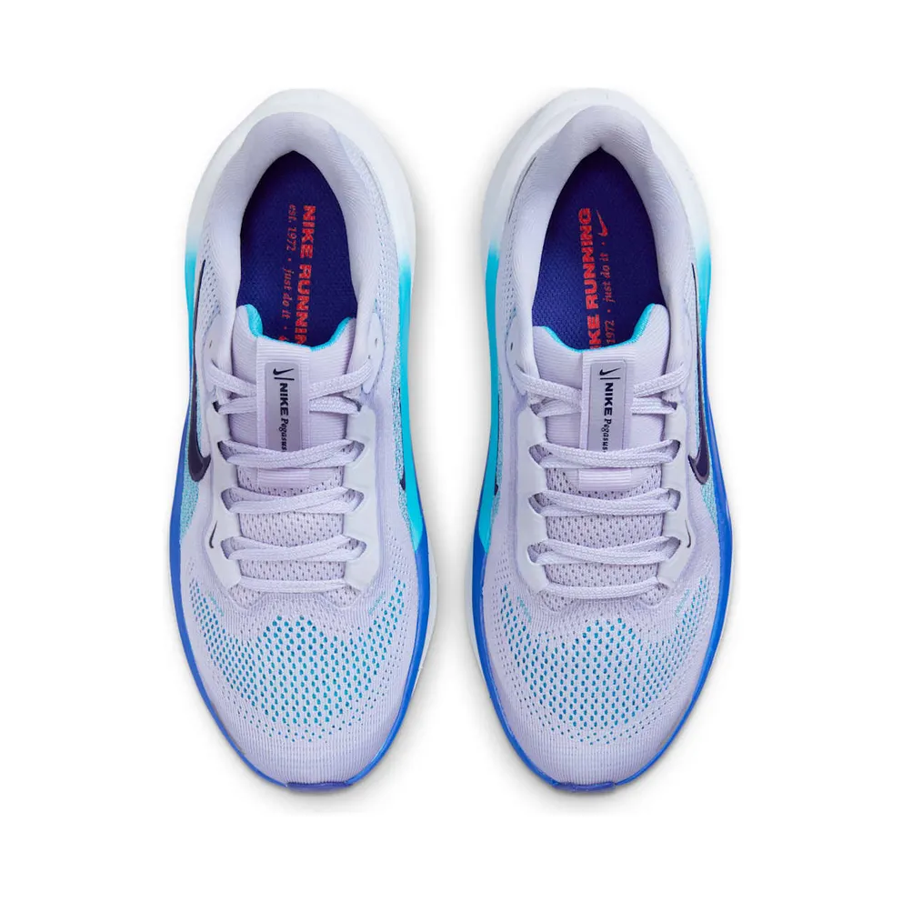 Nike Air Zoom Pegasus 41 Ghost Football Grey Deep Night Blue Void (FN5041-004)