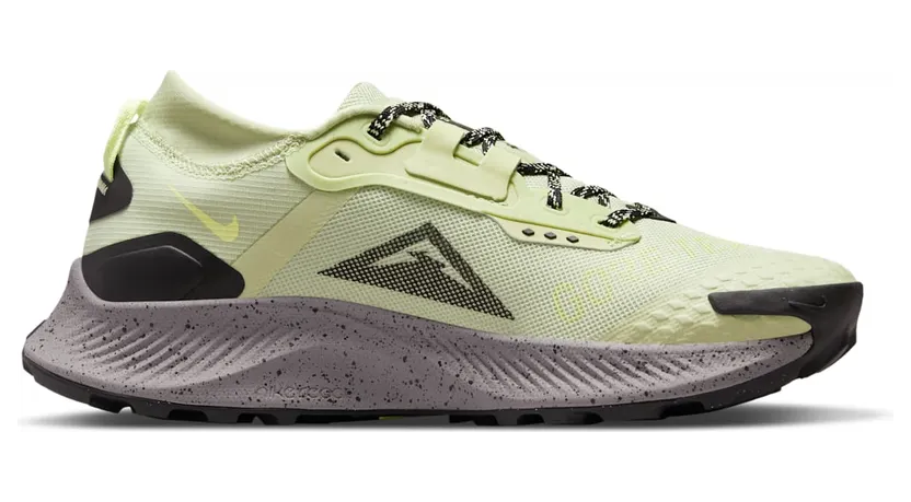 nike-air-pegasus DC8794-301