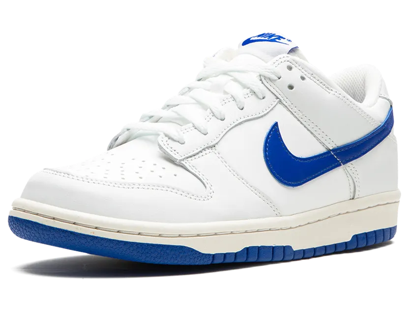 nike-dunk DH9765-105