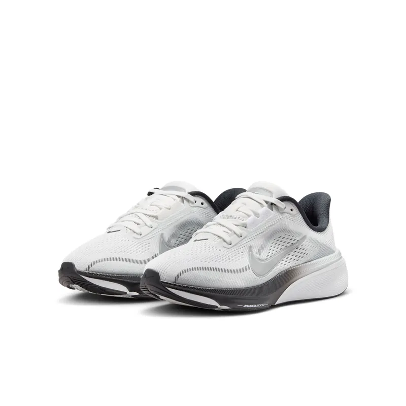 Nike Pegasus Summit White/Metallic Silver/Photon Dust/White (IR4146-100)