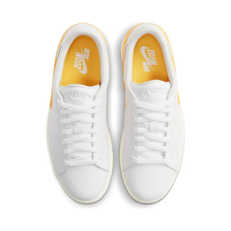 air-jordan-1 DJ2756-102