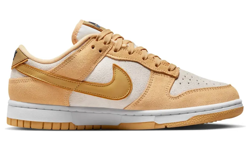 nike-dunk DV7411-200