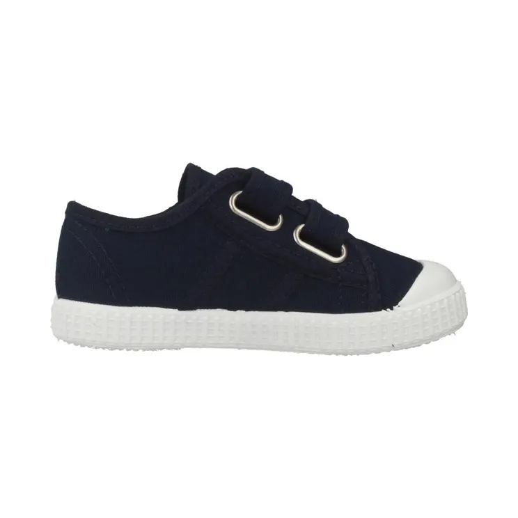 Victoria Blue (13660630)