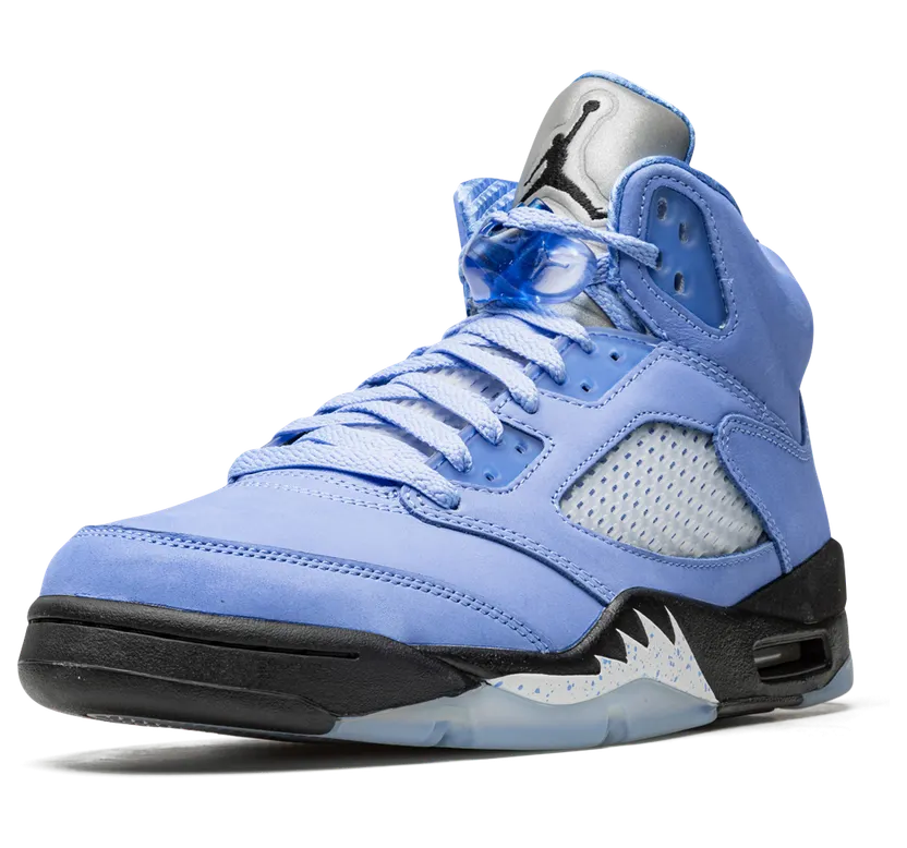 air-jordan-5 DV1310-401