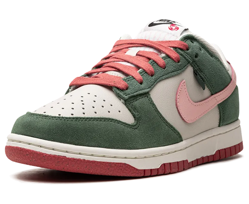 nike-dunk FN8923-061