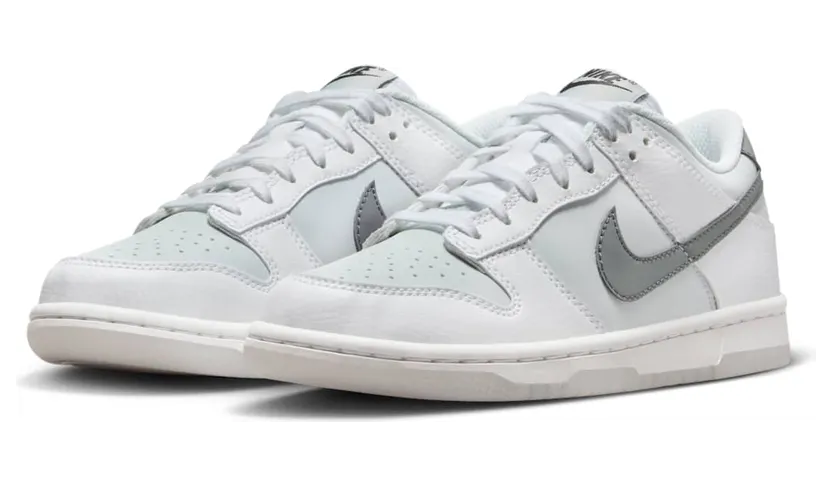 nike-dunk FV0365-100