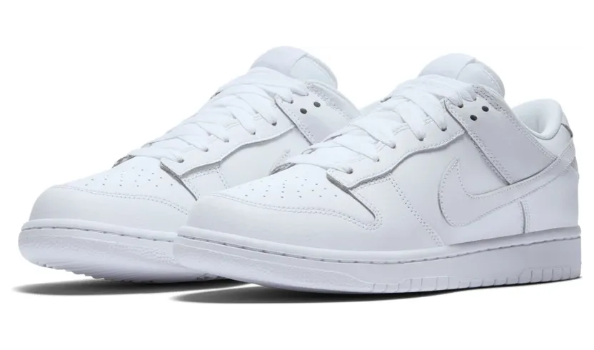 nike-dunk 904234-100