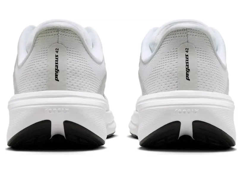 nike-air-pegasus IH2306-101