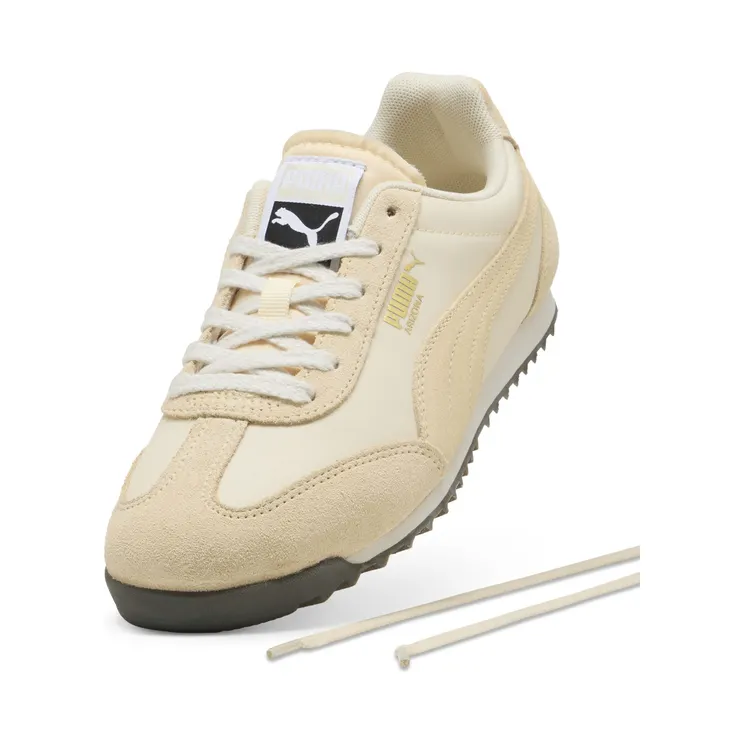 puma-arizona 398682_36